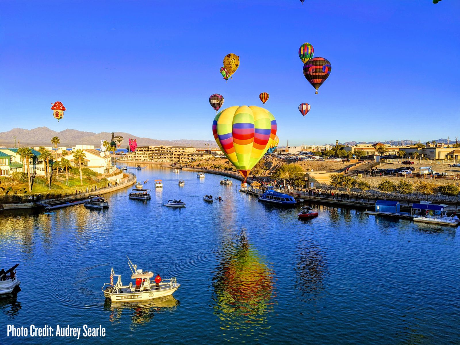 Photo Gallery: 2020 Balloon Festival - Lake Havasu City